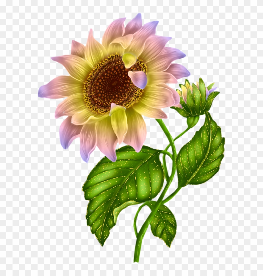 New Sunflower Clipart Black And White Hd Images - Tubes Sunflower Barnali Bagchi Transparent Png #838767