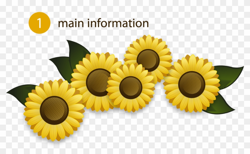 Euclidean Vector Flower - Common Sunflower #838801