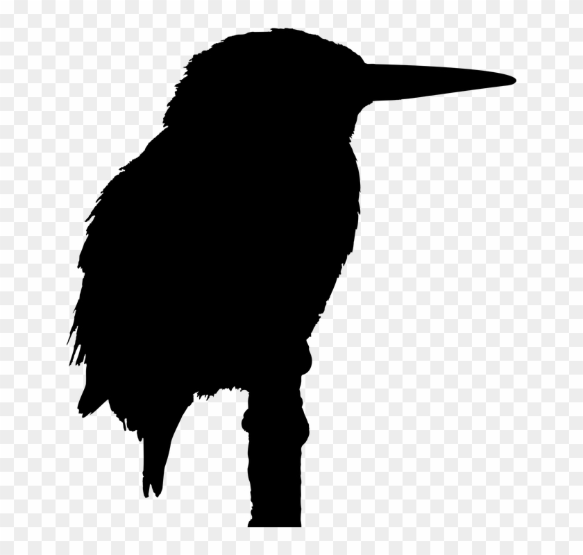 Kingfisher Clipart English - Silhouette Bird #838957