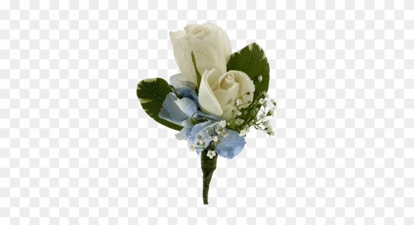White Rose And Hydrangea Boutonniere • - Garden Roses #839050