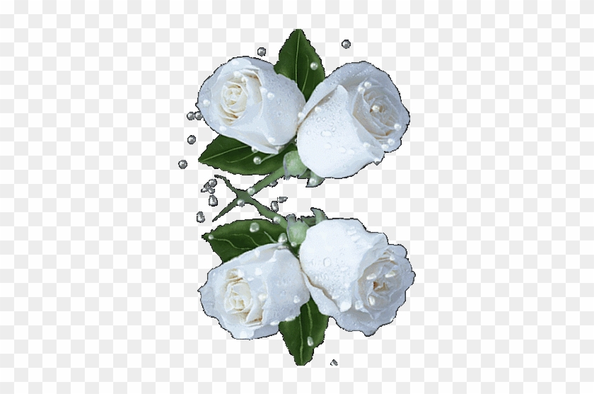 Блог Пользователя - White Flower Animated Gif #839057