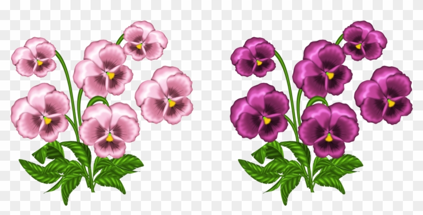 Pansy Clipart Swag - Tener Miedo Al Amor #839180