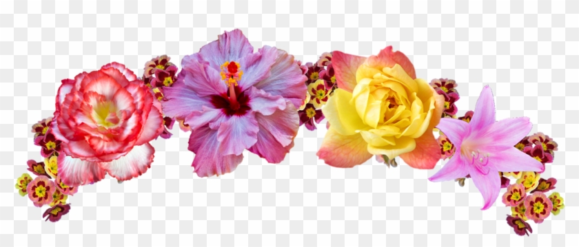 Imágenes De Coronas De Flores - Flower Crown Transparent #839266