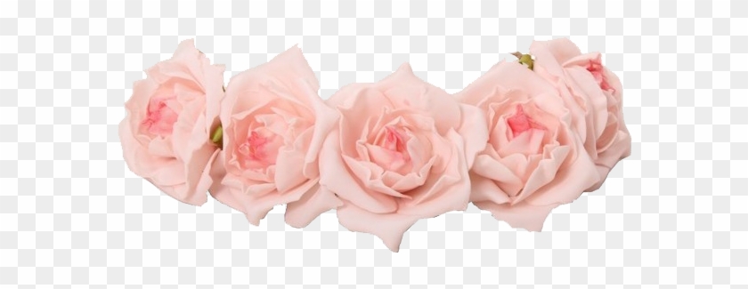 Coroas De Flores Png - Pastel Pink Flower Crown Transparent #839318