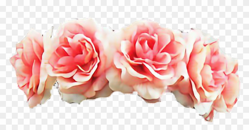 Reportar Abuso - Transparent Flower Crown Rose #839371
