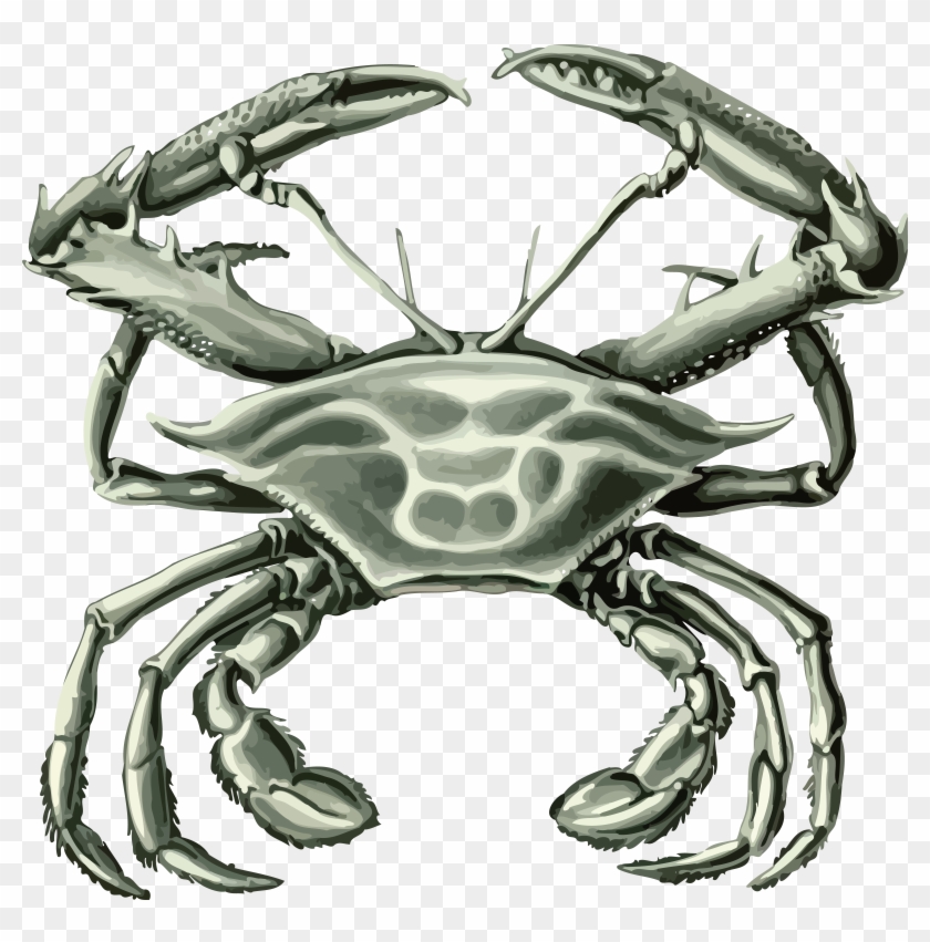 Free Clipart Of A Crab - Free Crab Svg File #839735