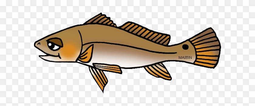 Marine Fish Clipart Channel Bass - Marine Fish Clipart Channel Bass #839927