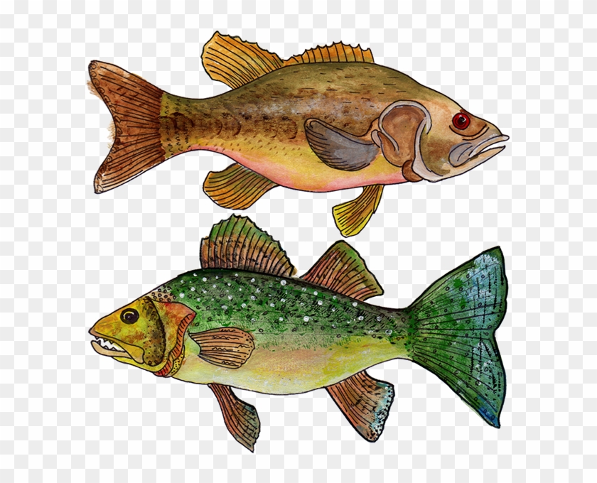 Lake Life For Thimbleberries Inc - Thimbleberry #839945