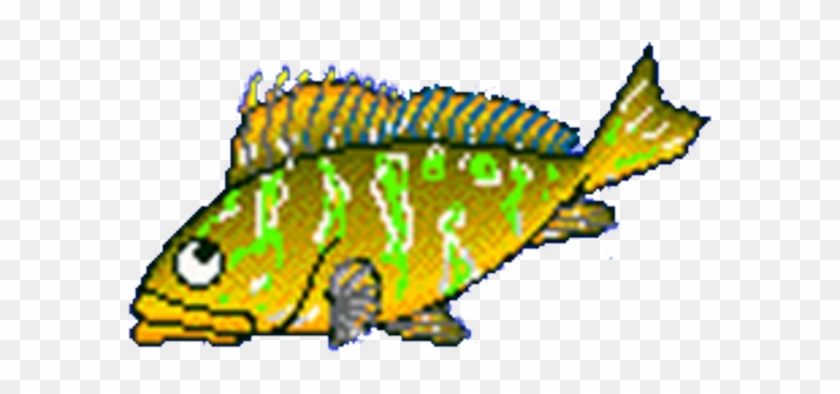 Bass - Fish - Clip - Art - Clip Art #839946