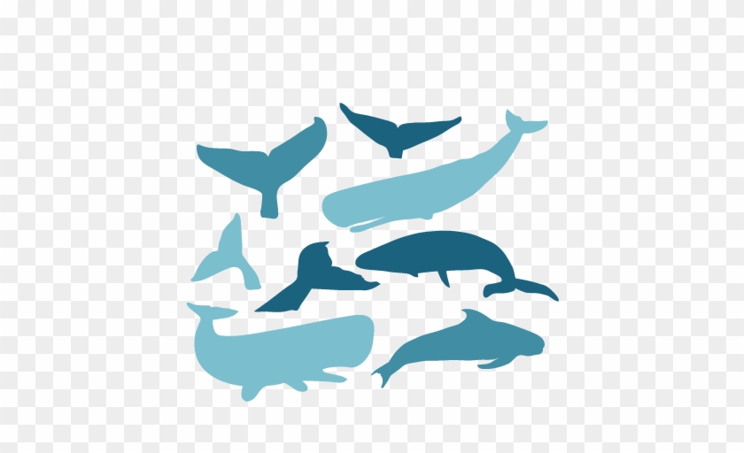 Surfer Green Whale Png Clip Arts For - Clip Art #839958