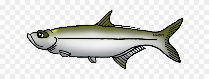 United States Clip Art By Phillip Martin, State Salt - Tarpon Alabama State Fish #839975