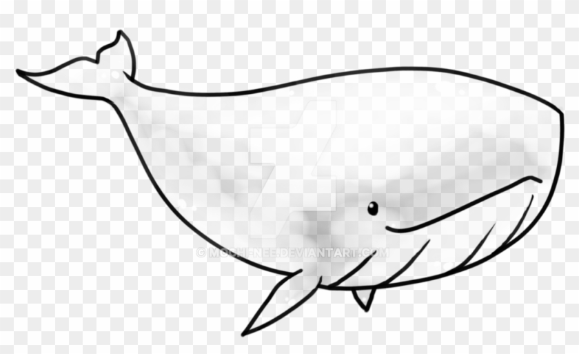 Transparent Whale By Eiocia On Deviantart - Blue Whale #839992