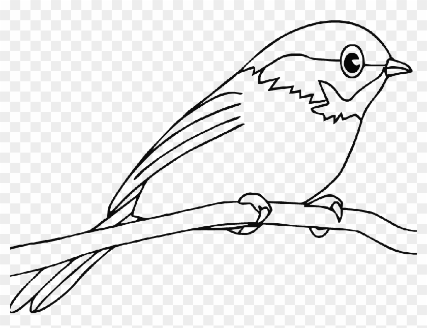 Baby Bird Coloring Pages - Colouring Pictures Of Bird #840078