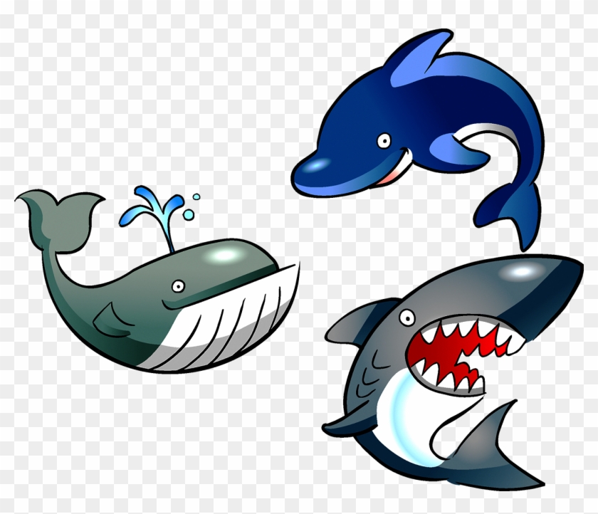 Cartoon Marine Life Clip Art - Shark Angry Png #840115