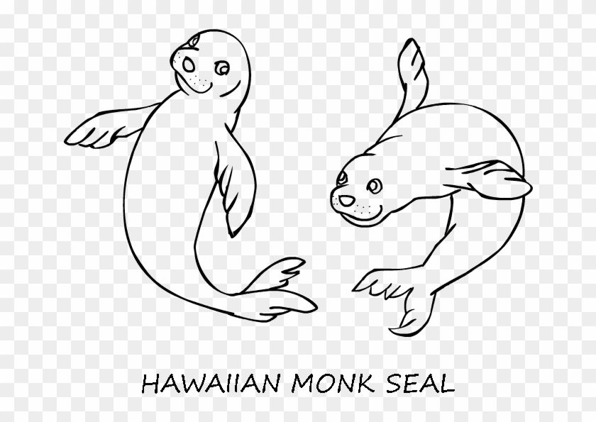 Seal Pictures To Print Printable Photos Of Cure Monk - Earless Seal #840129