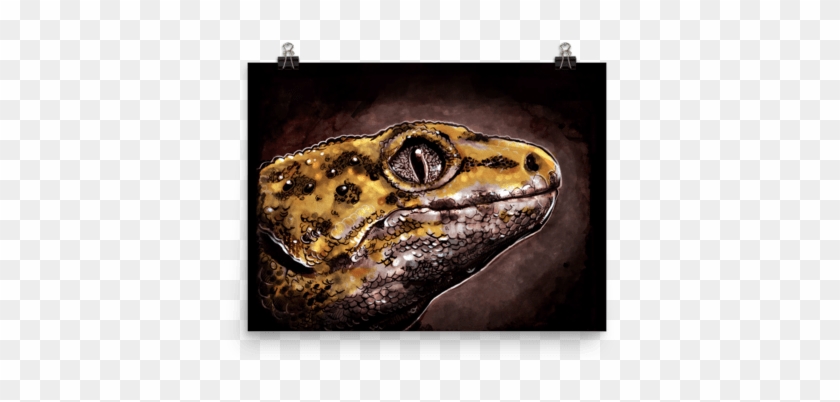 Yellow Gecko Poster - Gecko #840533