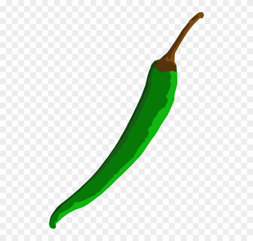 Green Chilli Clip Art At Clker - Chili Clip Art #840737