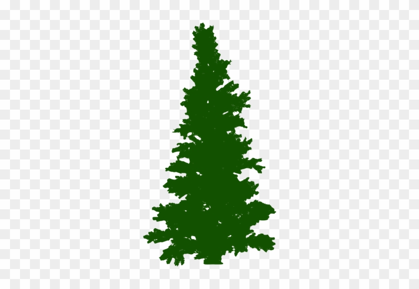 Drawn Pine Tree Scary - Pohon Cemara Vector #841113