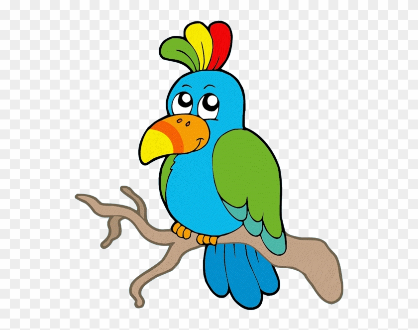 Budgie Clipart Cartoon - African Bird Clip Art #841604