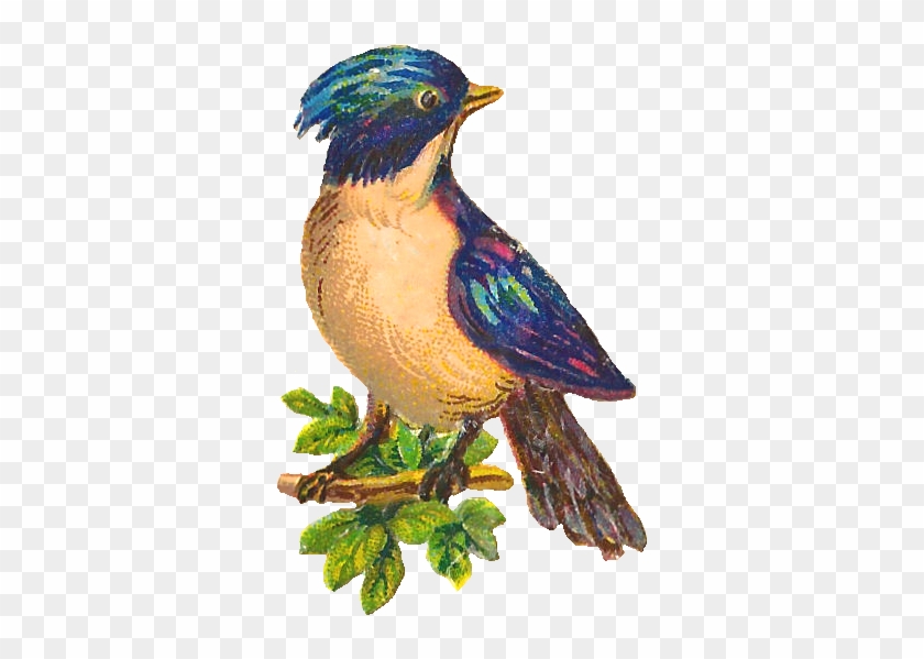 Bird Tree Image Clip Art - Bird In Tree Png #841613
