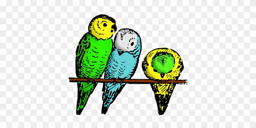 Green And Yellow Budgie Perched On A Stick Cartoon - Parakeet Cartoon Transparent #841620