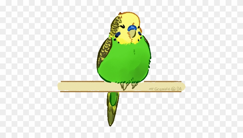 Hand Drawn Cartoon Budgies Perched - Parakeet Gif Transparent #841621