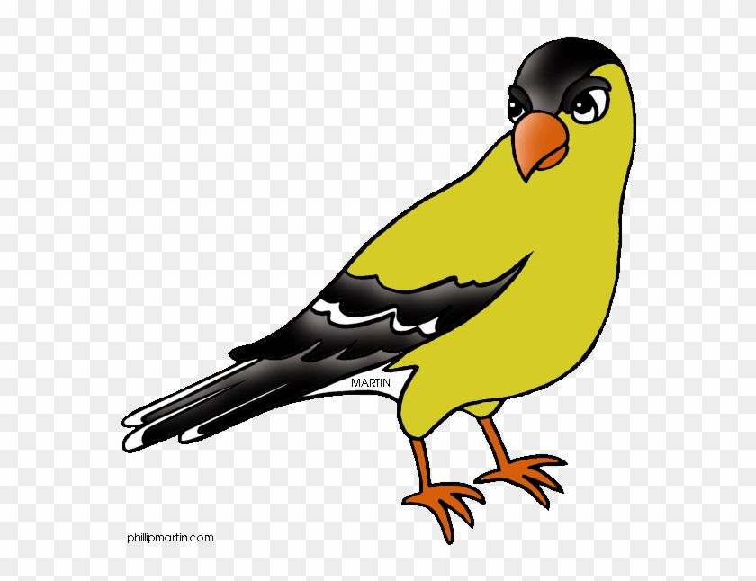 Finch Clipart - New Jersey State Bird #841623