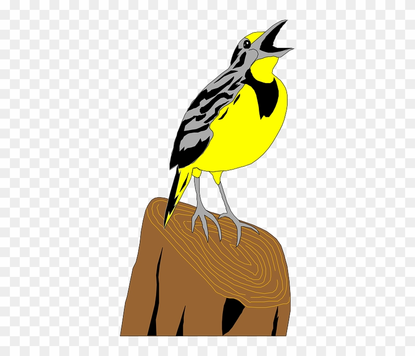 Meadowlark Digital, Wings, Art, Stump, Feathers, Meadowlark - Chim Son Ca Vector #841656