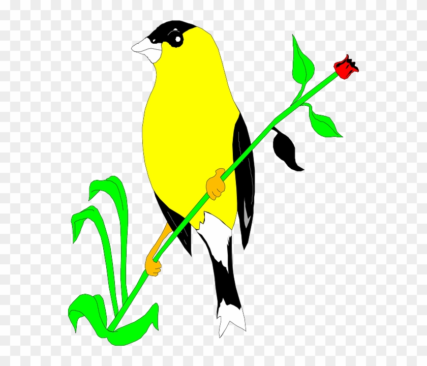 Stem Flower, Bird, Plant, Wings, Animal, Goldfinch, - Goldfinch Clip Art #841671
