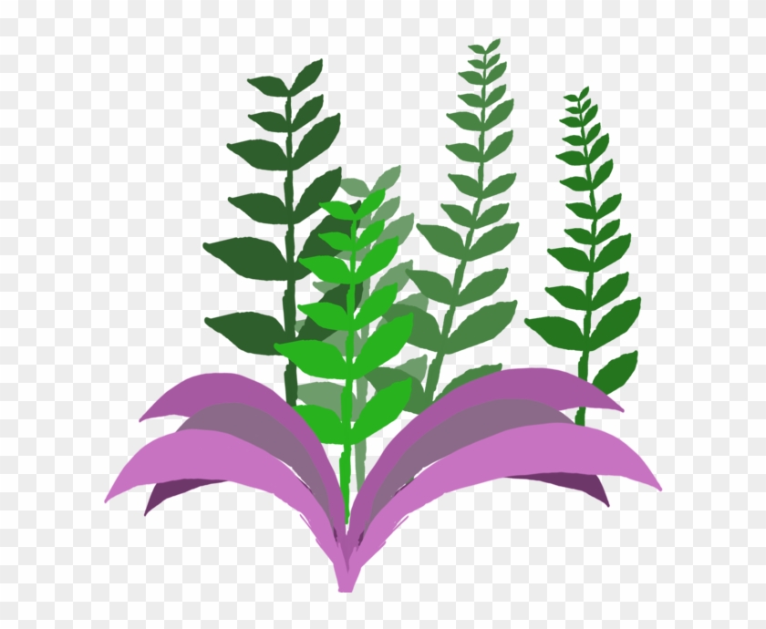 Jungle Plants Vector By Vatoff - Pixabay #841701