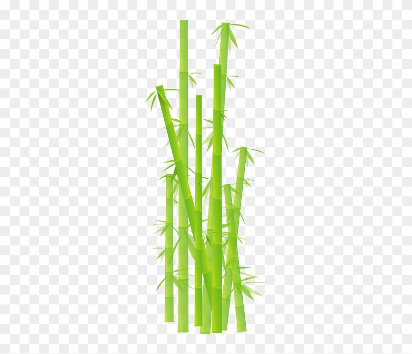 Grass, Jungle, Leave, Plant, Stick - ไม้ไผ่ การ์ตูน Png #841764