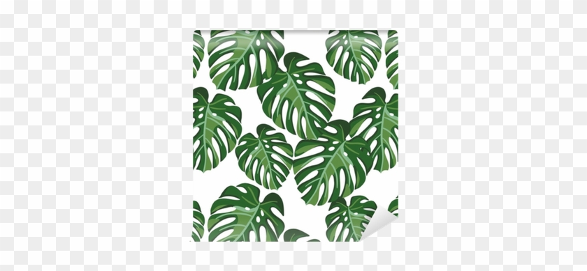 Monstera Palm Leaves On The White Background - Monstera Background #841791