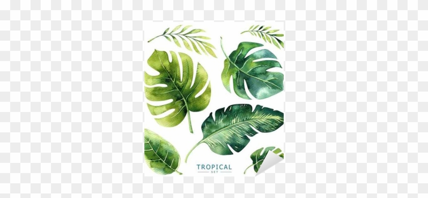 Hand Drawn Watercolor Tropical Plants Set - Exotic Palm Leaves #841830