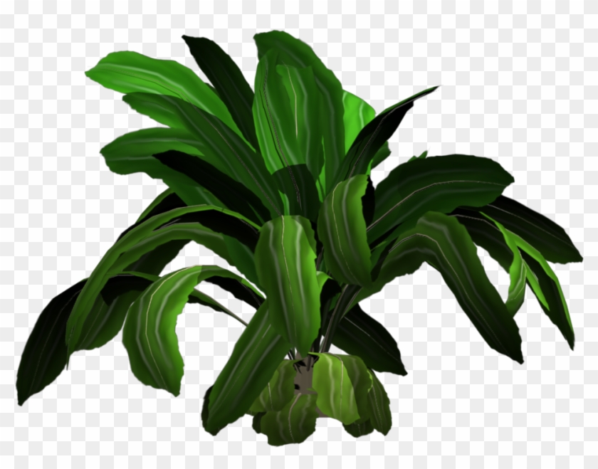 Added By Yorik On - Tropical Plants Png #841832