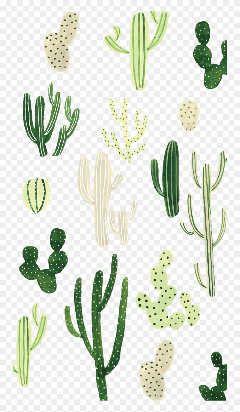 Cacticasetify - Cactus Wallpaper Iphone 7 Plus #841840
