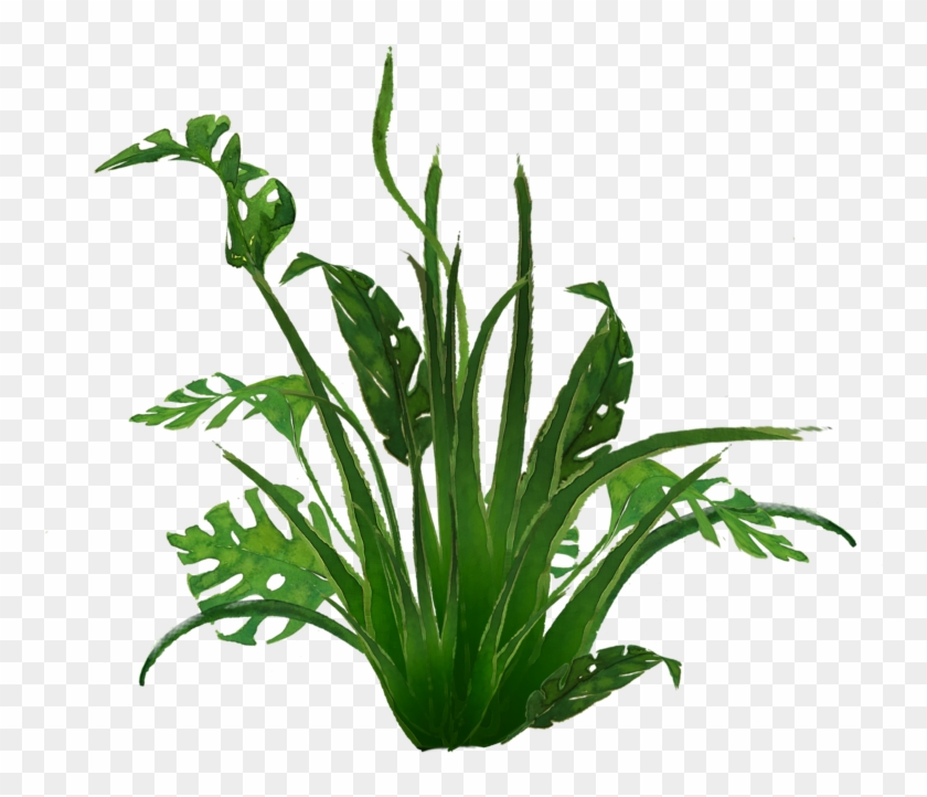 938 Jungle Plants 01 By Tigers Stock B - Grass #841848