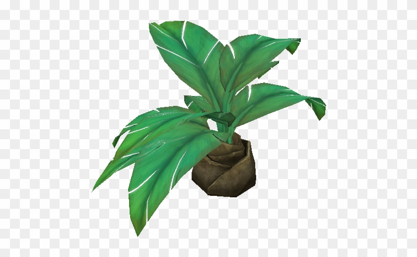 Jungle Palmetto - Houseplant #841853