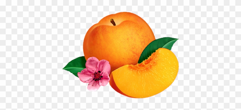 Overlay And Peach Image - Png Frutas #841965