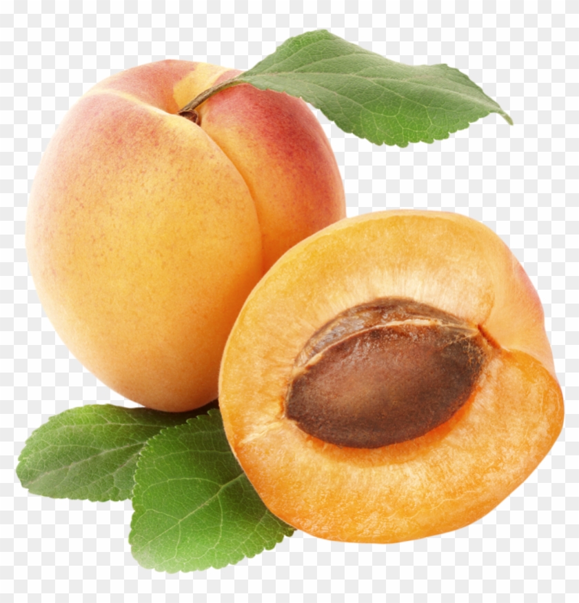 Apricots Png Clipart - Apricots Png #842007