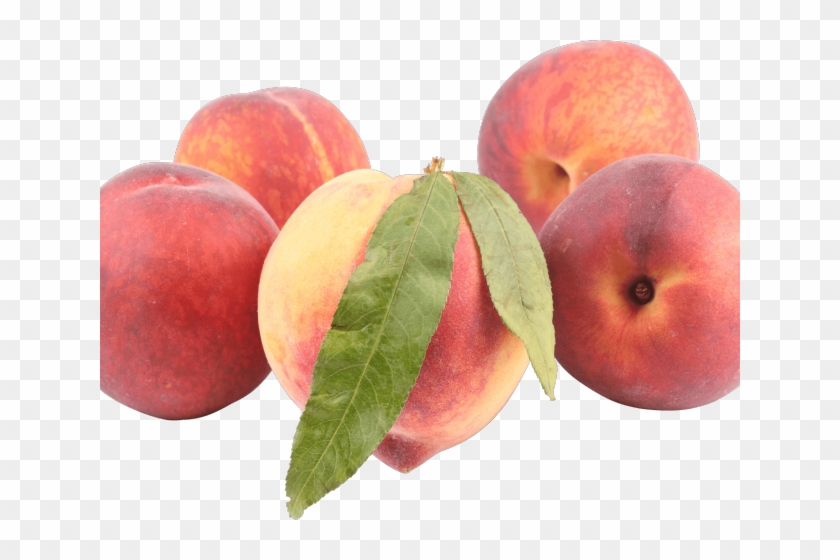 Peach Png Transparent Images - Peach #842065