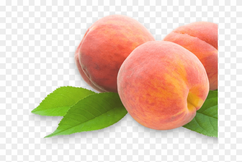 Crm For Agro Business Company, Syndicode - Three Peaches #842068