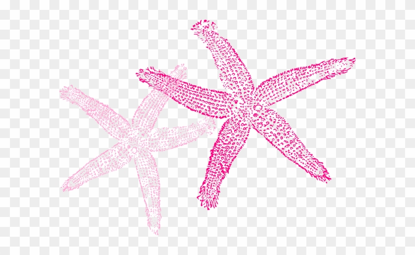Multiple Pink Starfish Clip Art At Clker Com Vector - Fish Clip Art #842101