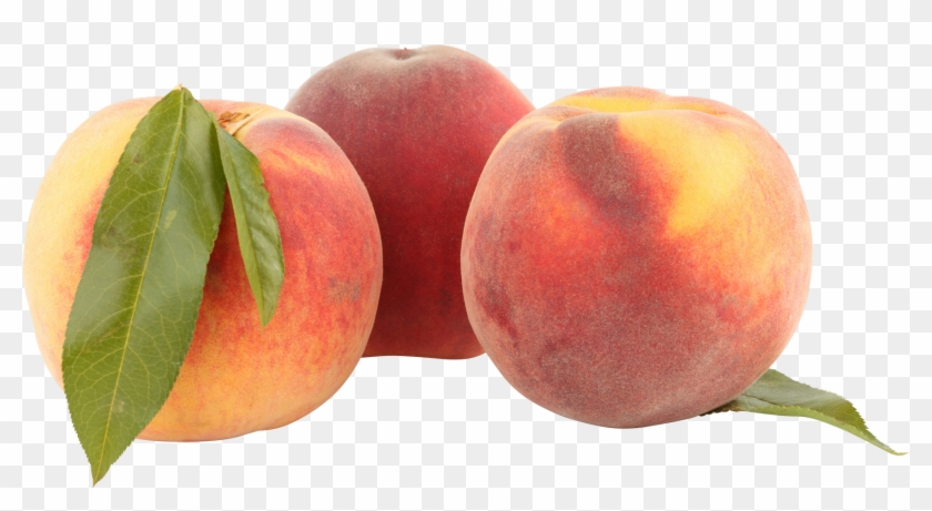 Peach - Peach #842119