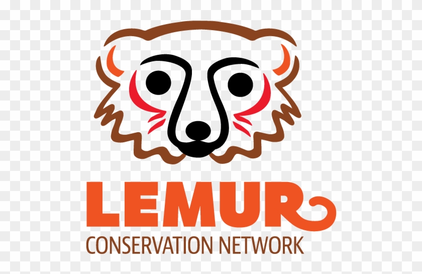 Foto - Lemur Conservation Network #842129