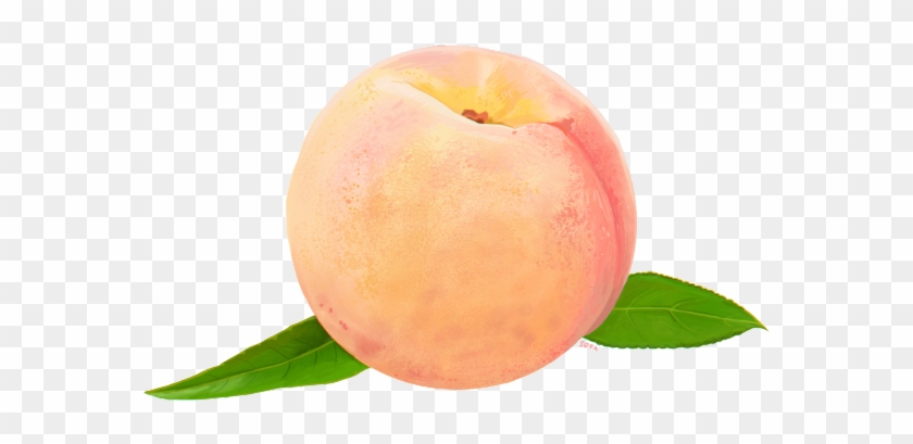 Peach Png Transparent Images - Github Inc. #842149