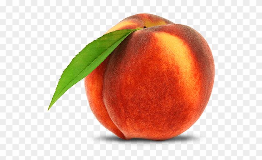 Chile - Drawing Of A Peach #842188