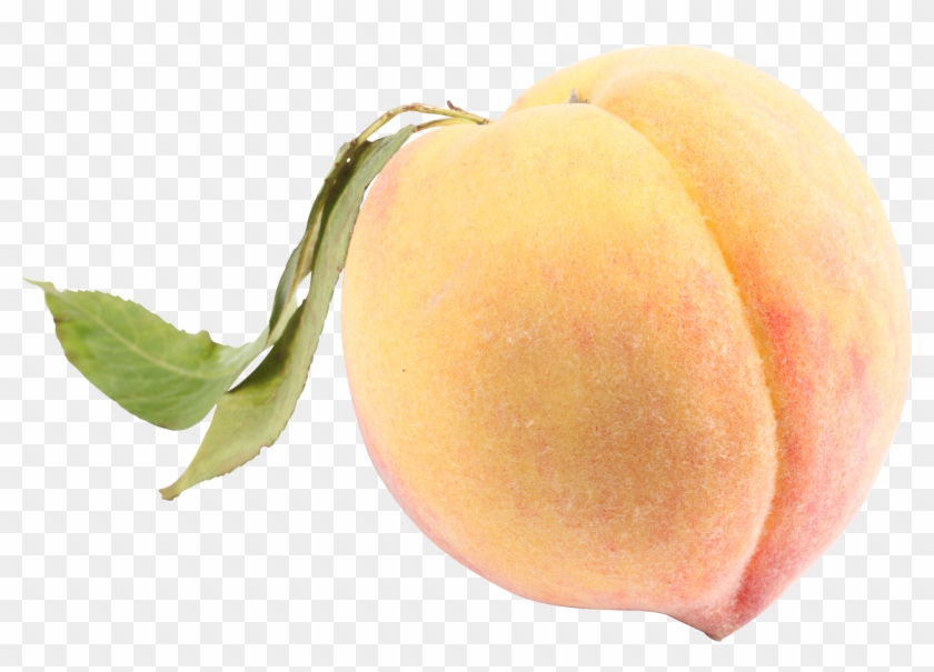 Peach Png Image - White Peach Png #842240