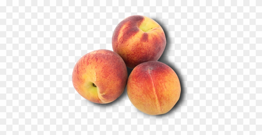 Peaches - Nectarines #842268