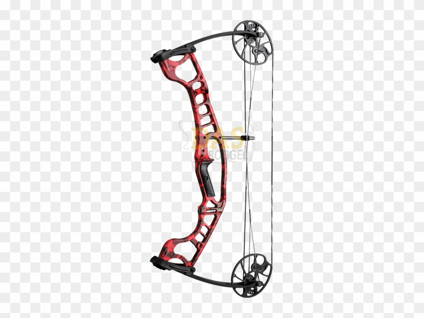 Picture Of Hoyt Compound Ignite 28" - Hoyt Bow #842614