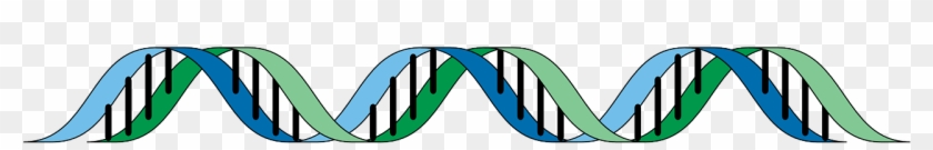 What If Google Knew Your Dna - Genes Transparent #842853